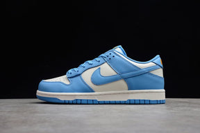 NK Dunk Low Coast - MOLINS COMPANY